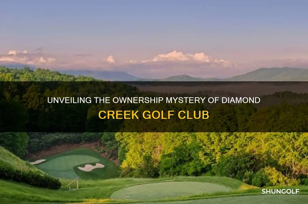 who owns diamond creek golf club