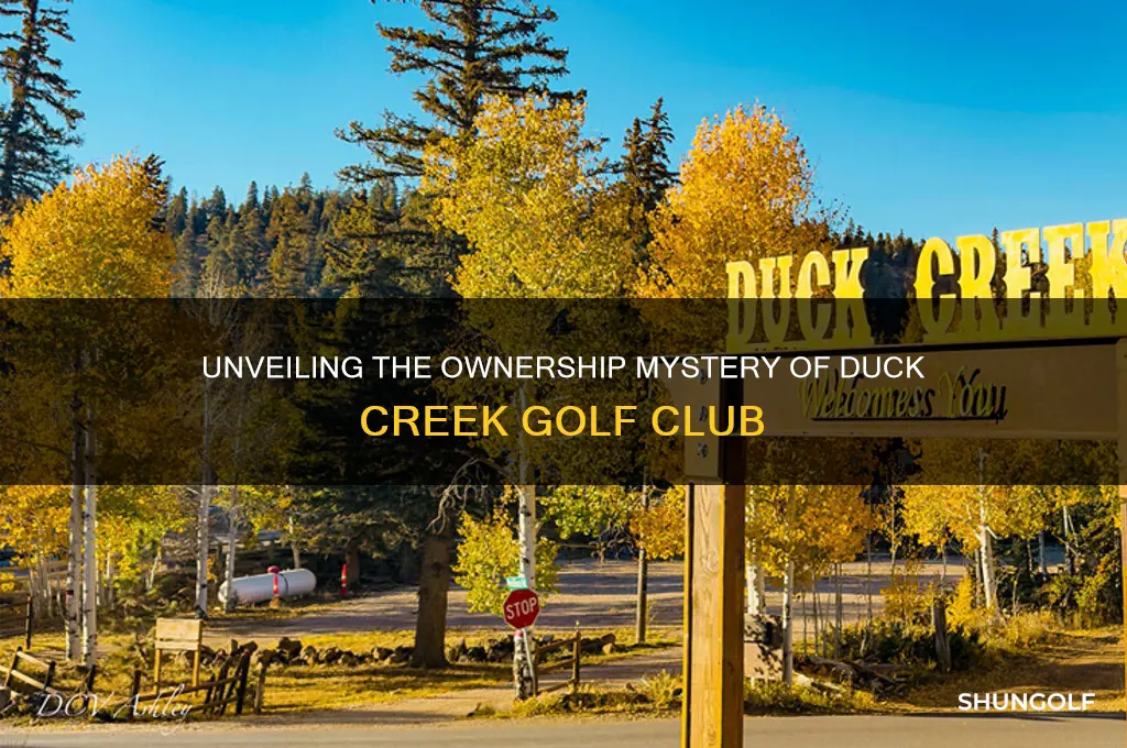 who owns duck creek golf club