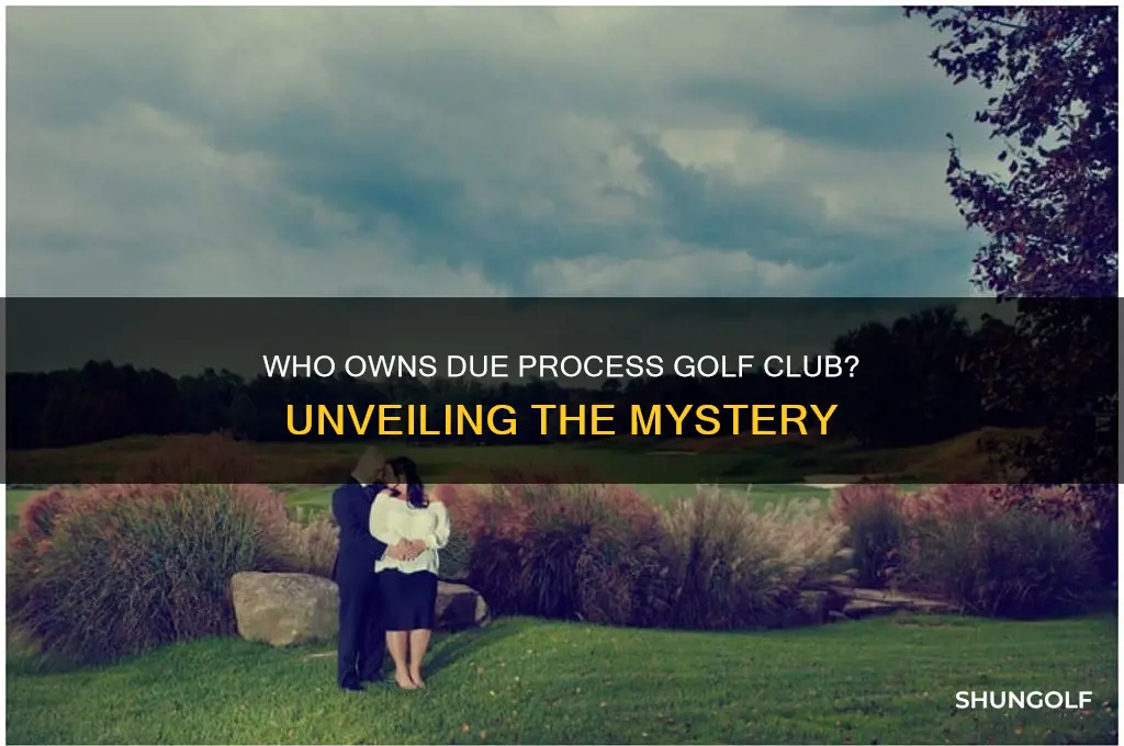 who owns due process golf club