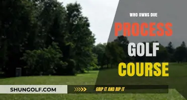 Who Owns Due Process Golf Course? Uncovering the Ownership Mystery