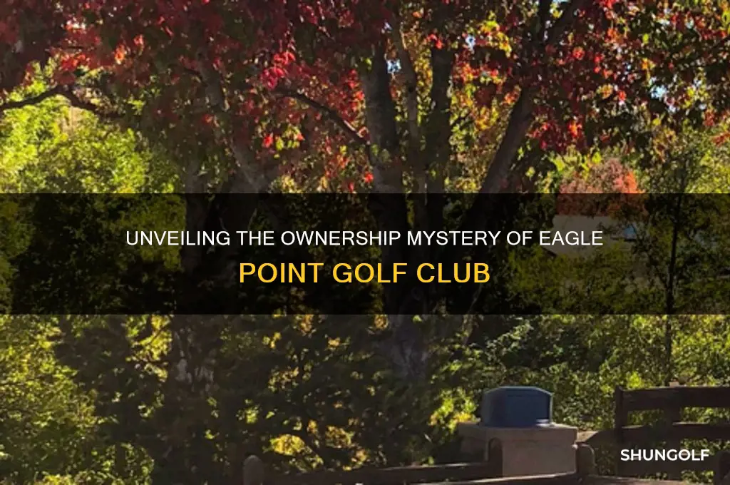 who owns eagle point golf club