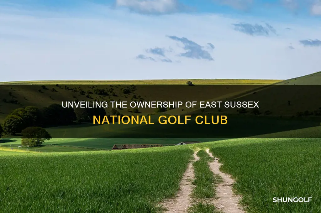 who owns east sussex national golf club