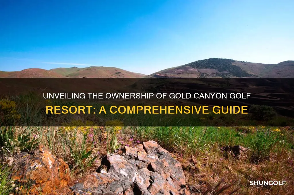 who owns gold canyon golf resort