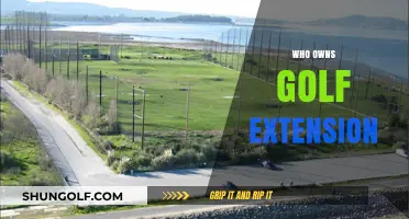 Unveiling the Ownership Mystery: Who Controls the Golf Extension?