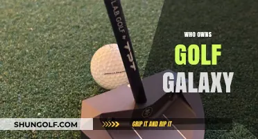 Dick's Sporting Goods: Golf Galaxy's Owner