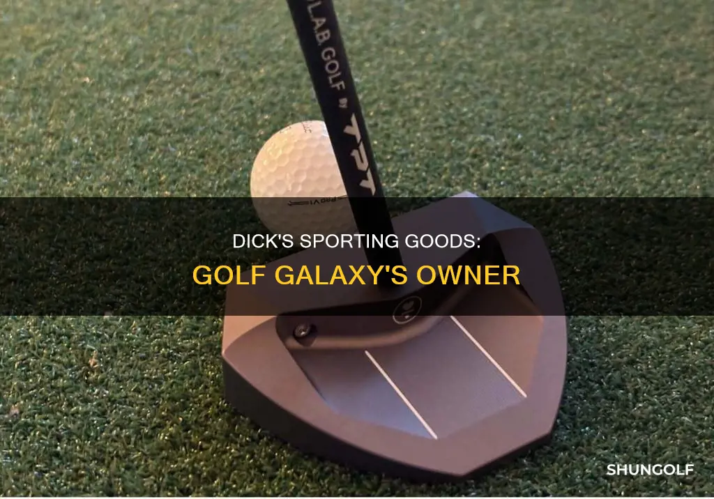 who owns golf galaxy