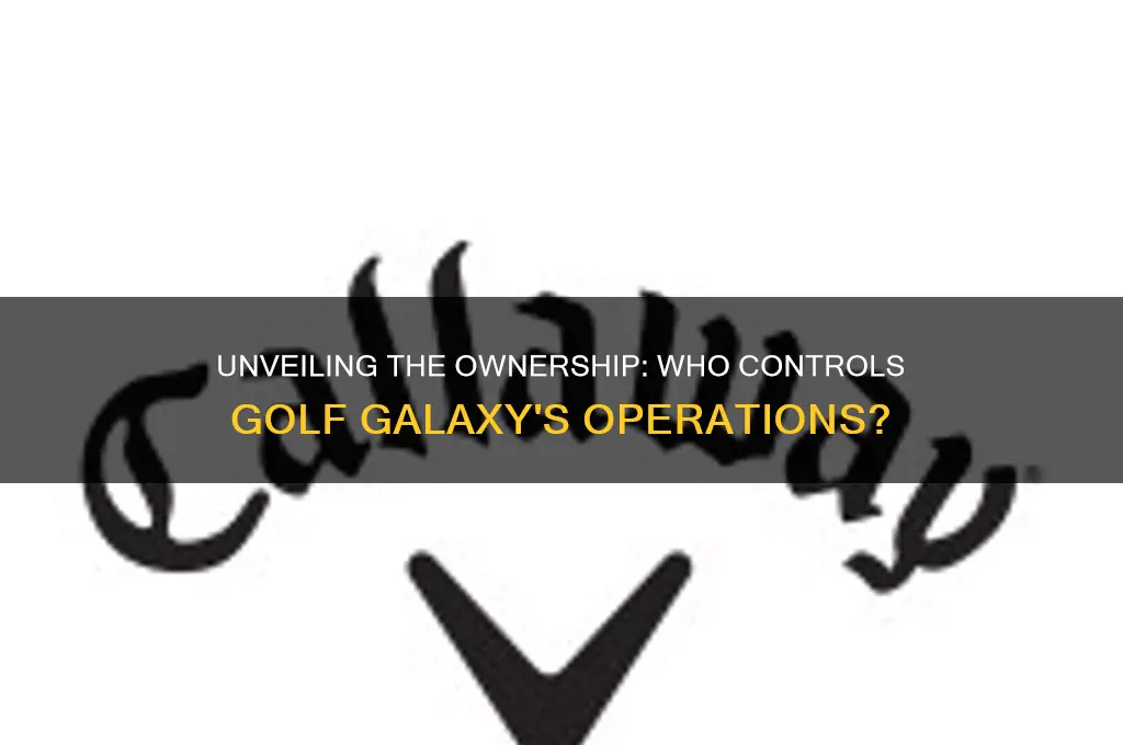who owns golf galazy