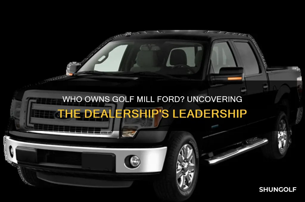 who owns golf mill ford