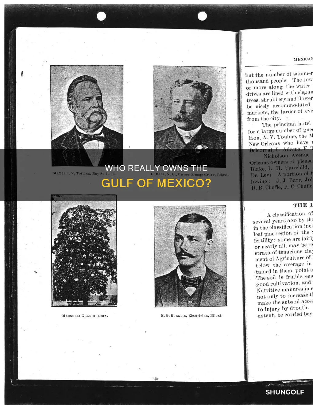 who owns golf of mexico