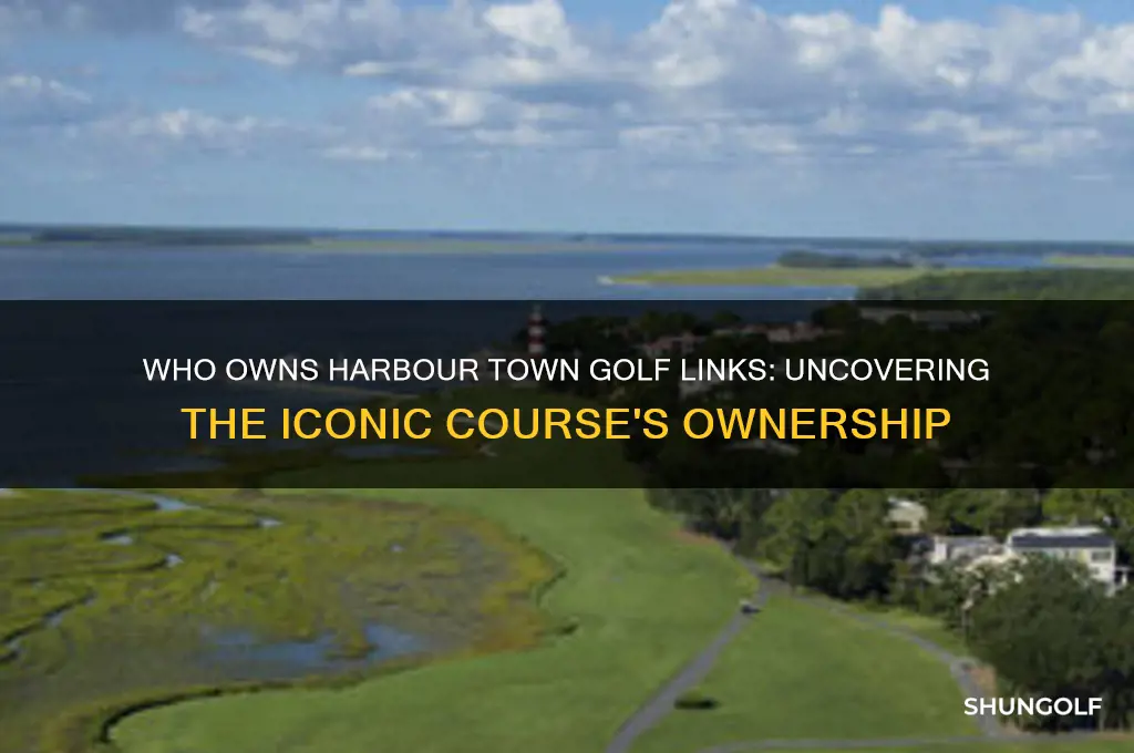 who owns harbour town golf links