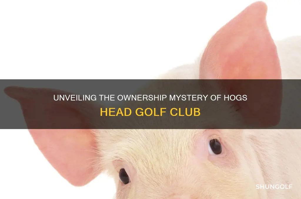 who owns hogs head golf club