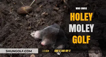 Who Owns Holey Moley Golf? Uncovering the Business Behind the Fun