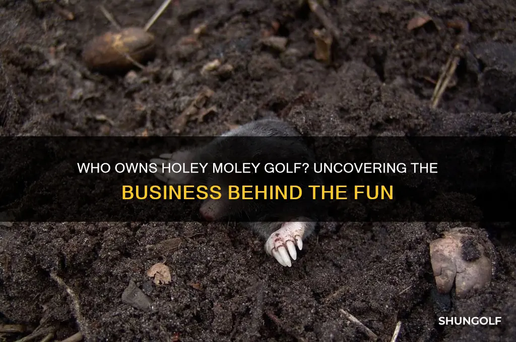 who owns holey moley golf