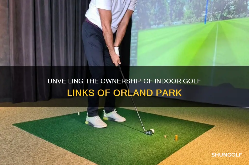 who owns indoor golf links of orland park