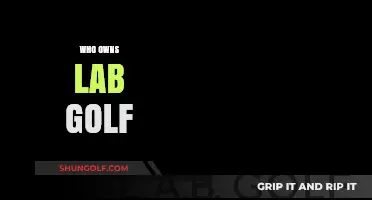 Unveiling the Ownership: Who Really Controls Lab Golf?