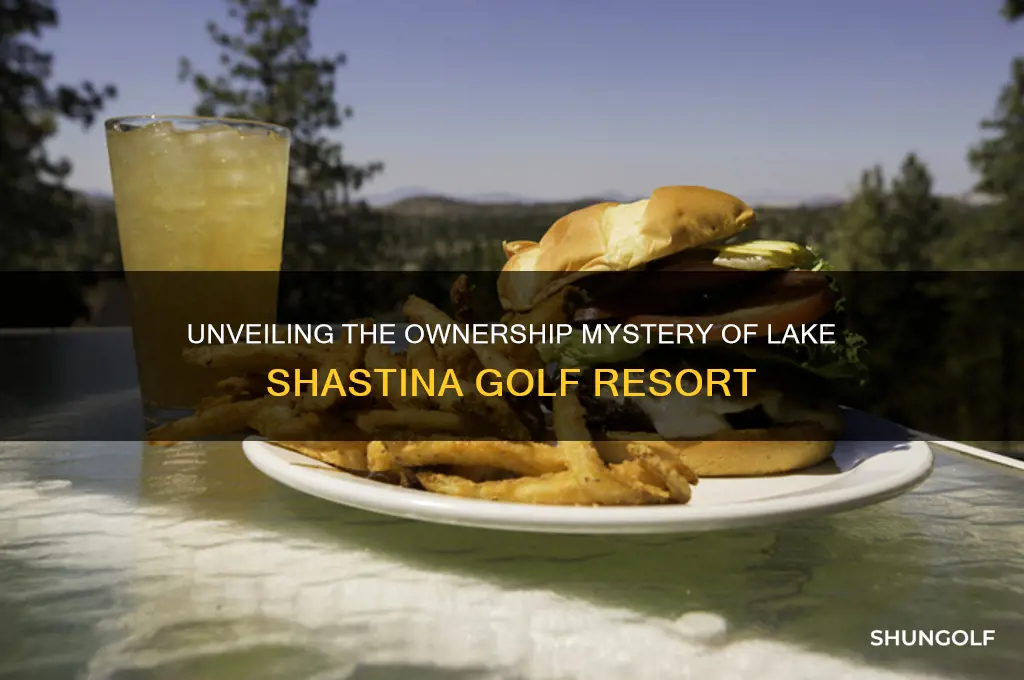 who owns lake shastina golf resort