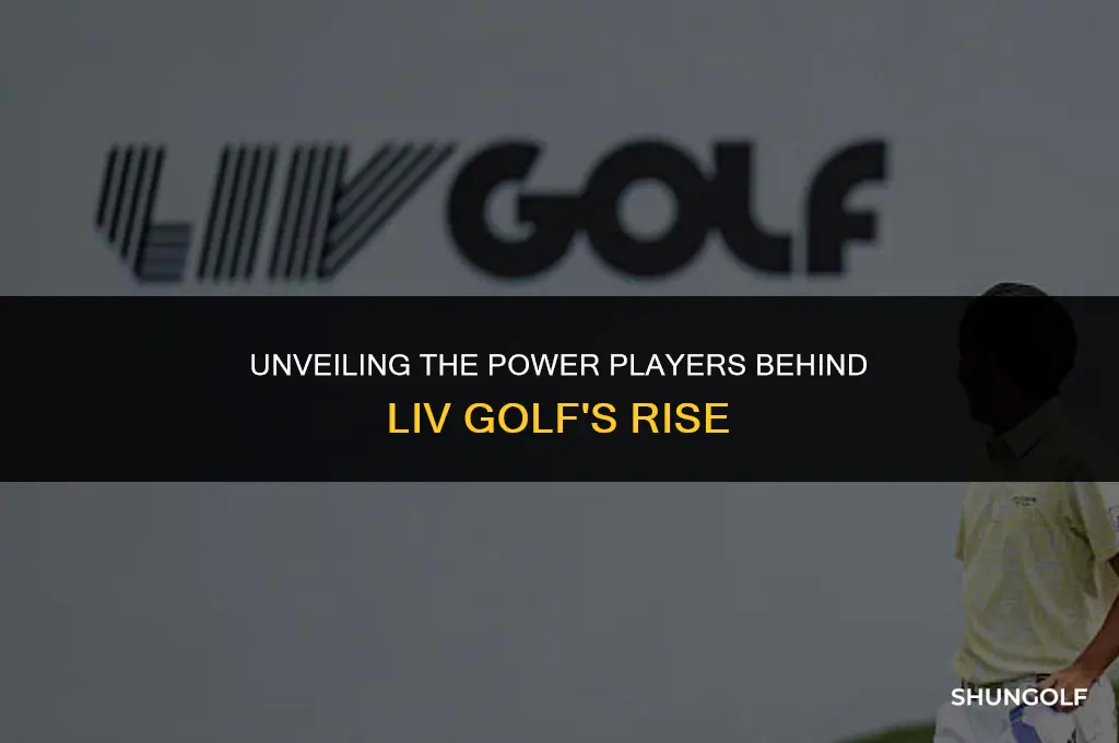 who owns liv golf
