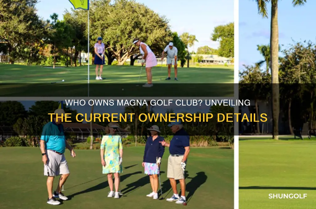who owns magna golf club