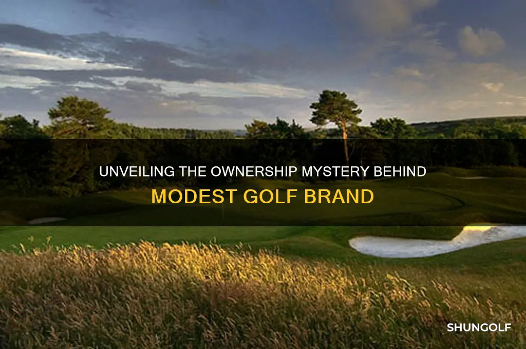 who owns modest golf