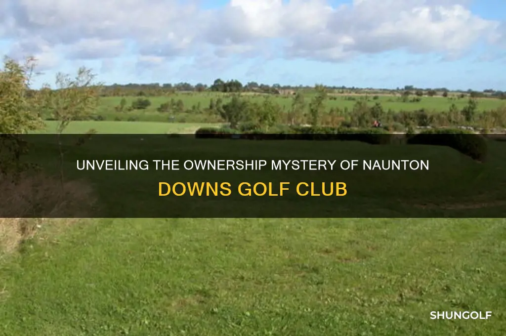 who owns naunton downs golf club