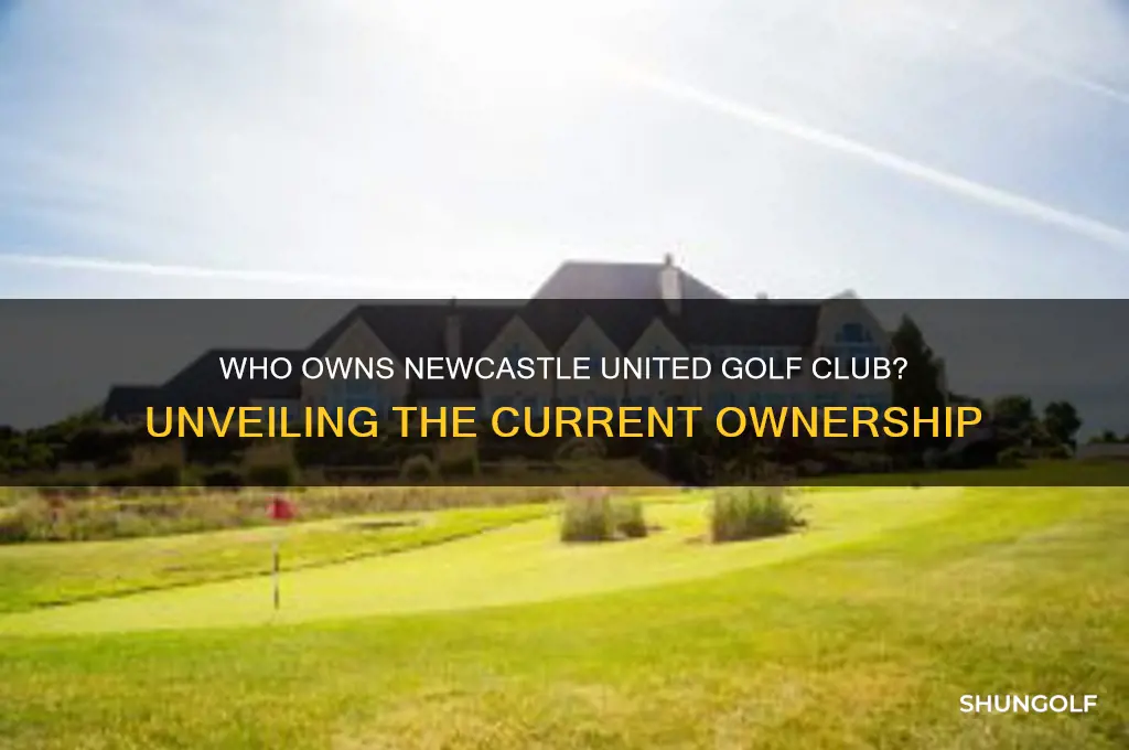 who owns newcastle united golf club