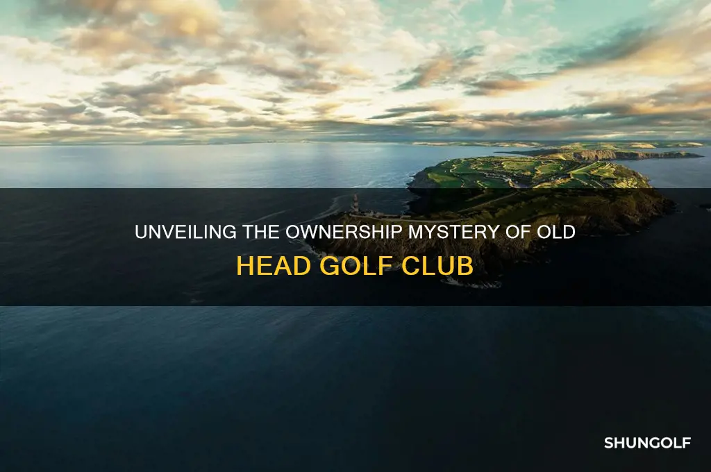 who owns old head golf club