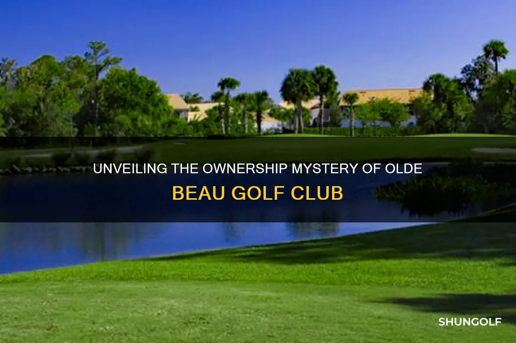 who owns olde beau golf club