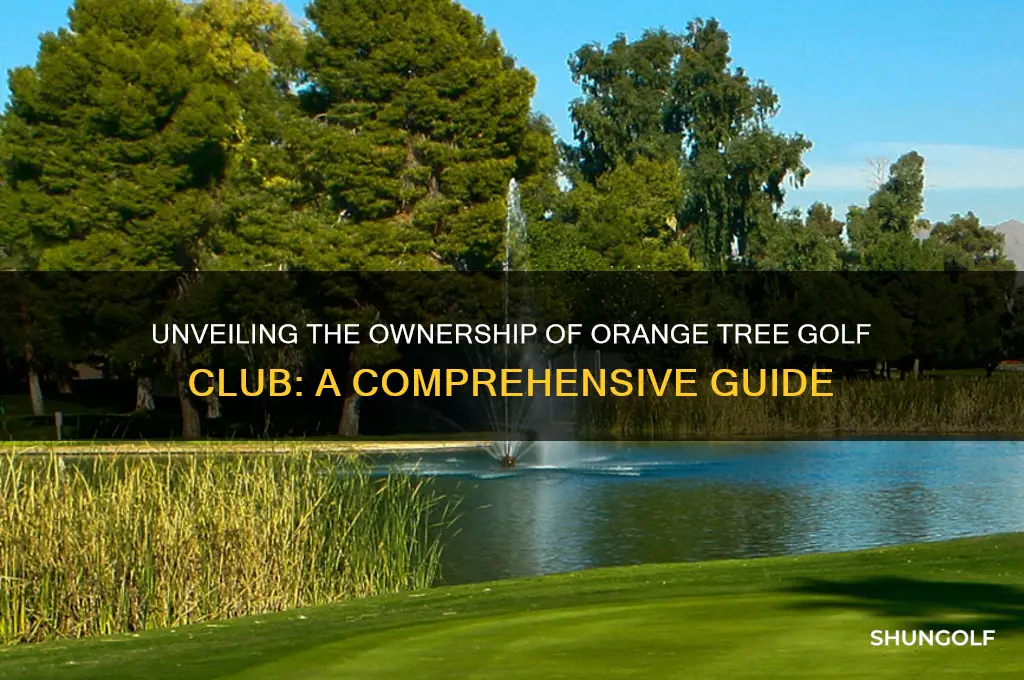 who owns orange tree golf club