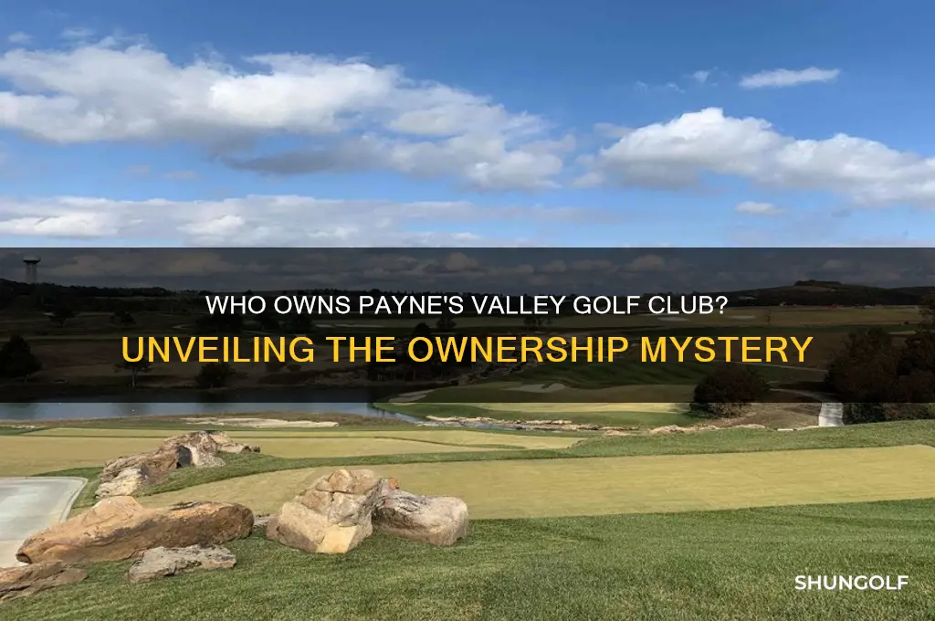 who owns payne