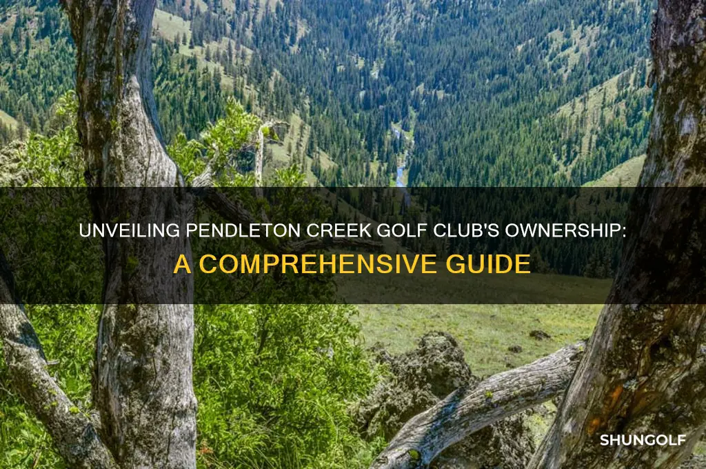 who owns pendleton creek golf club