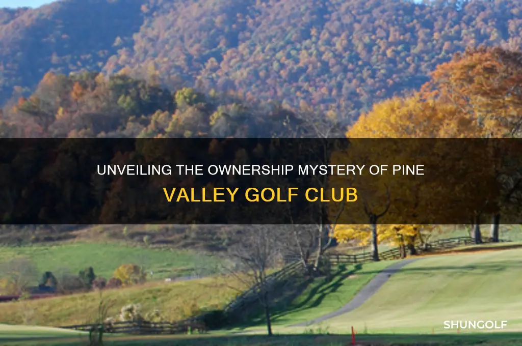 who owns pine valley golf club