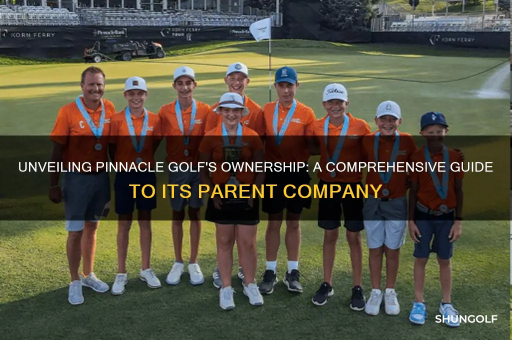 who owns pinnacle golf