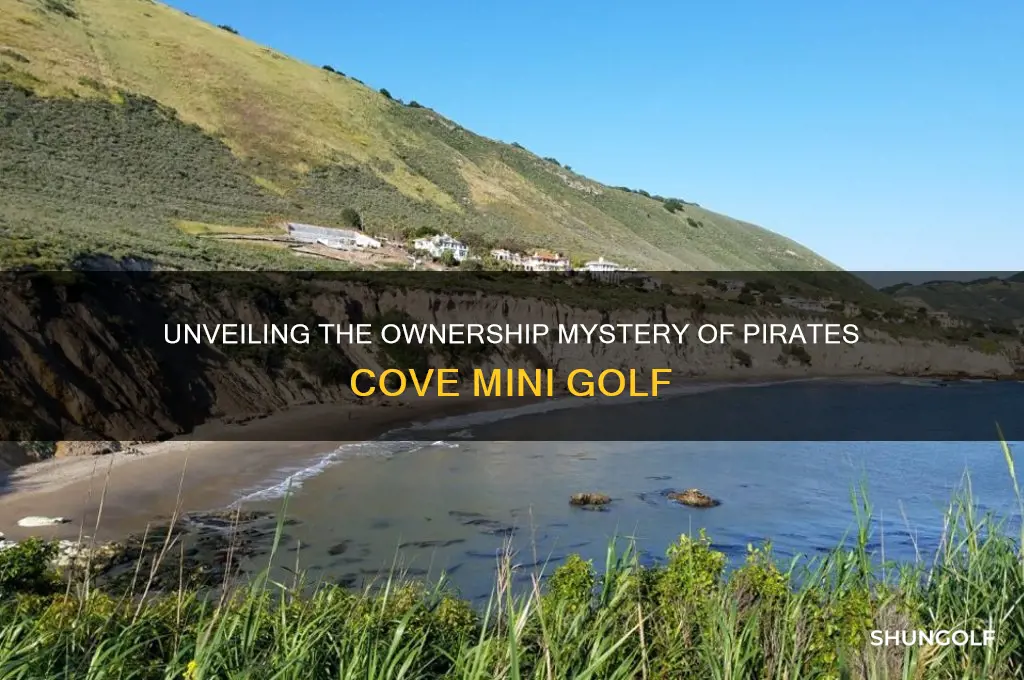 who owns pirates cove mini golf