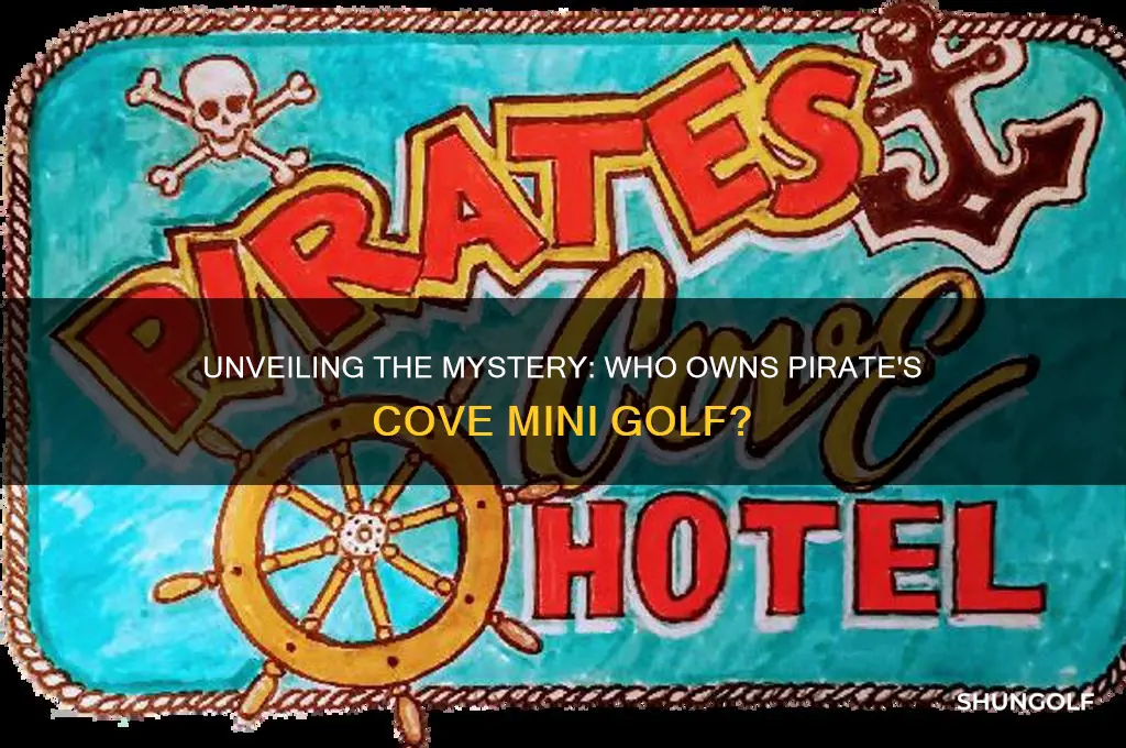 who owns pirate