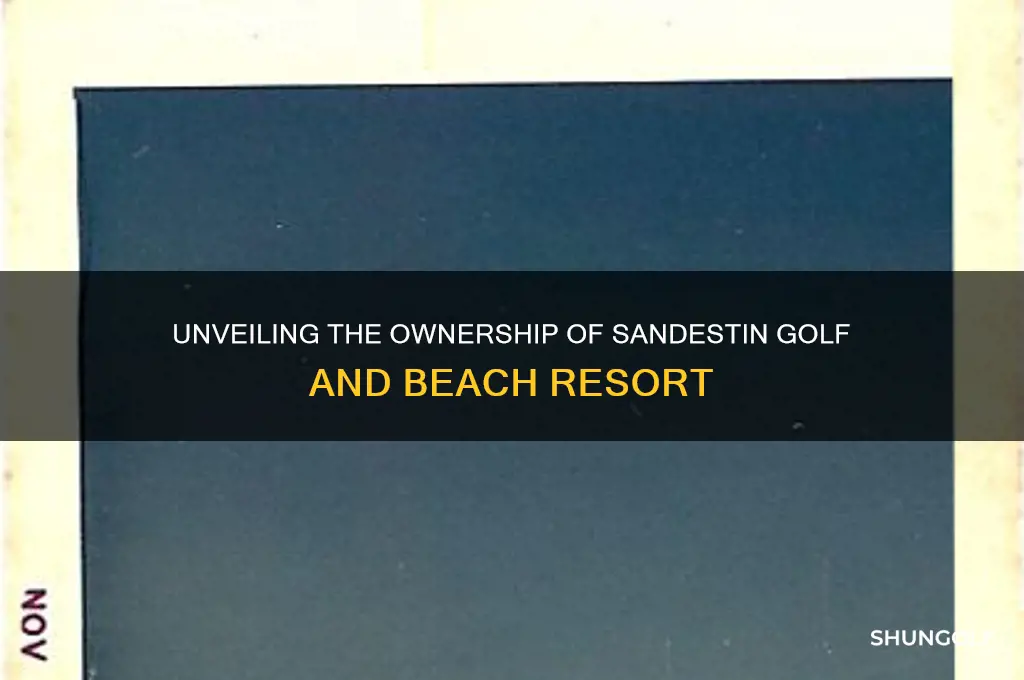 who owns sandestin golf and beach resort