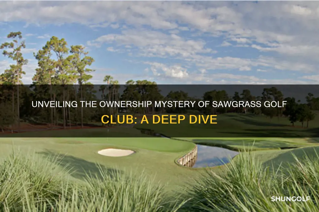 who owns sawgrass golf club