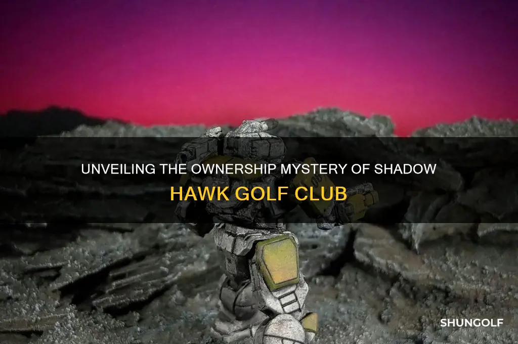 who owns shadow hawk golf club