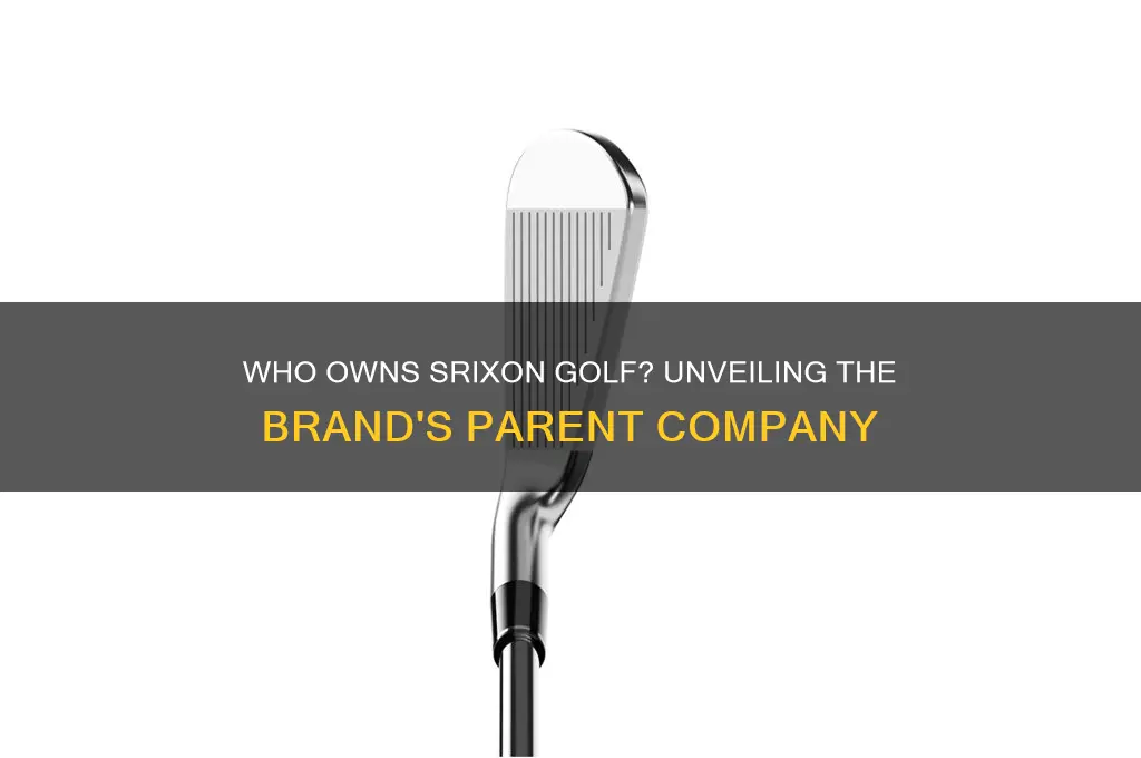 who owns srixon golf