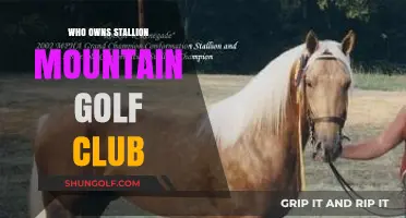 Unveiling the Ownership of Stallion Mountain Golf Club: A Comprehensive Guide