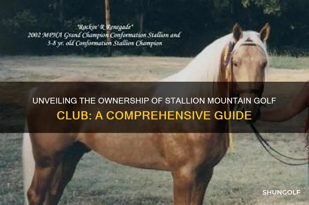 who owns stallion mountain golf club