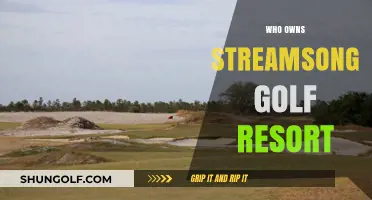 Unveiling the Ownership of Streamsong Golf Resort: A Comprehensive Guide