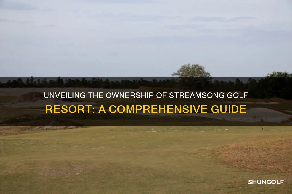 who owns streamsong golf resort