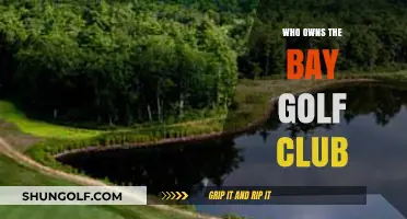 Unveiling the Ownership Mystery: Who Owns The Bay Golf Club?