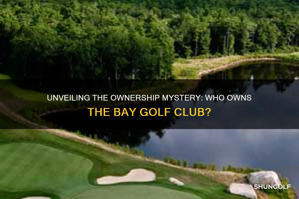 who owns the bay golf club