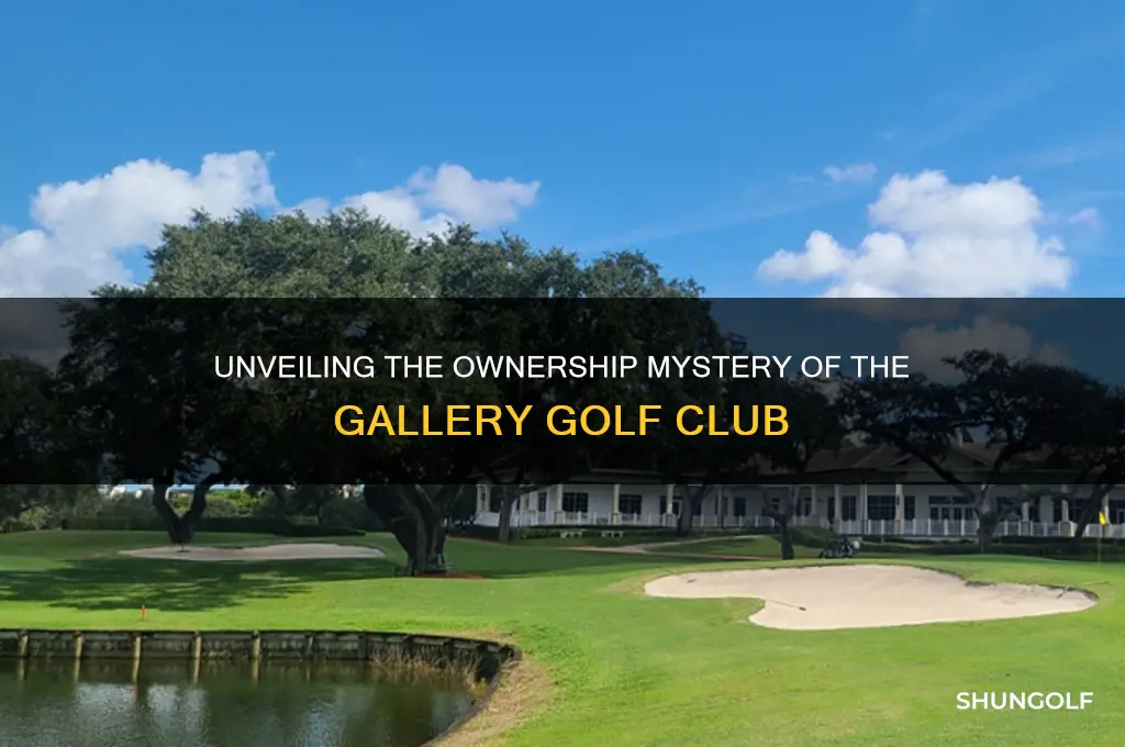 who owns the gallery golf club