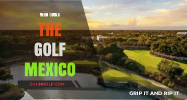 Who Owns the Golf Mexico? Unraveling the Mystery Behind the Brand