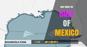 The Gulf of Mexico: A Shared Resource