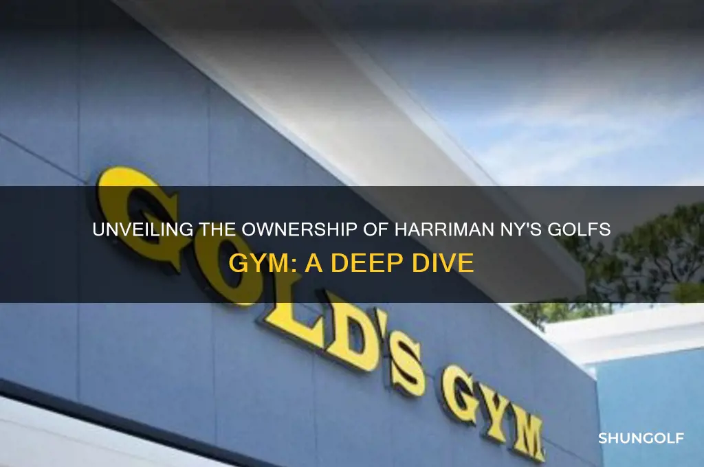 who owns the golfs gym in harriman ny