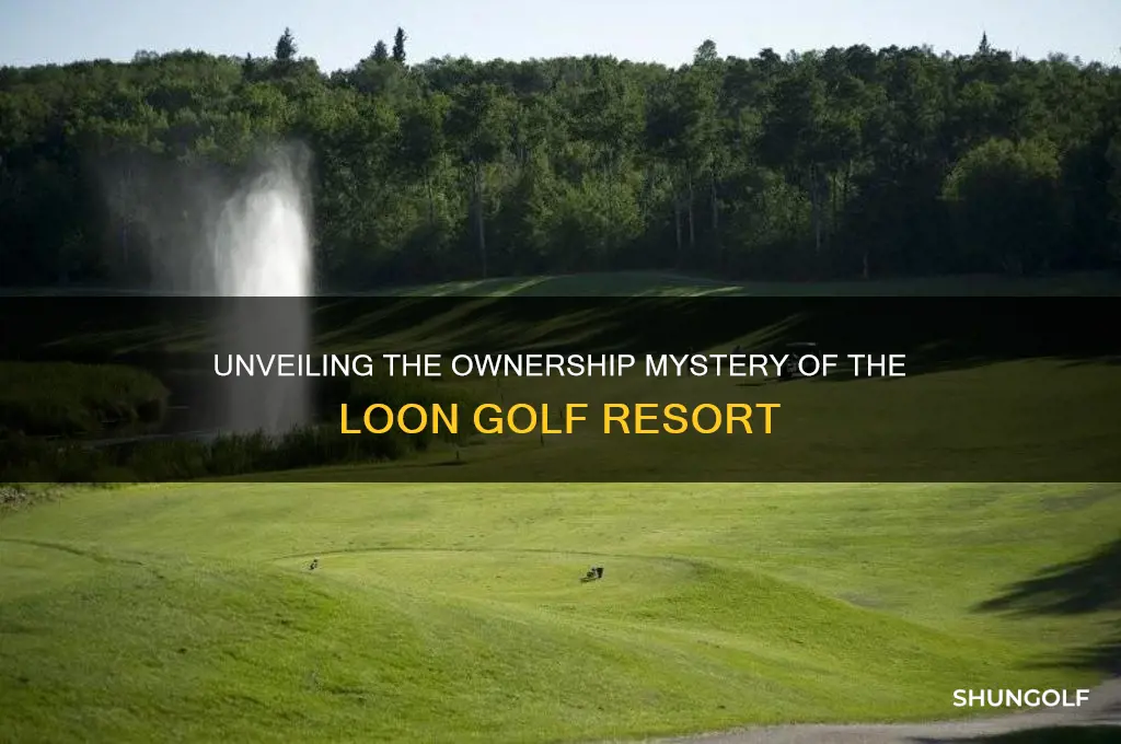 who owns the loon golf resort