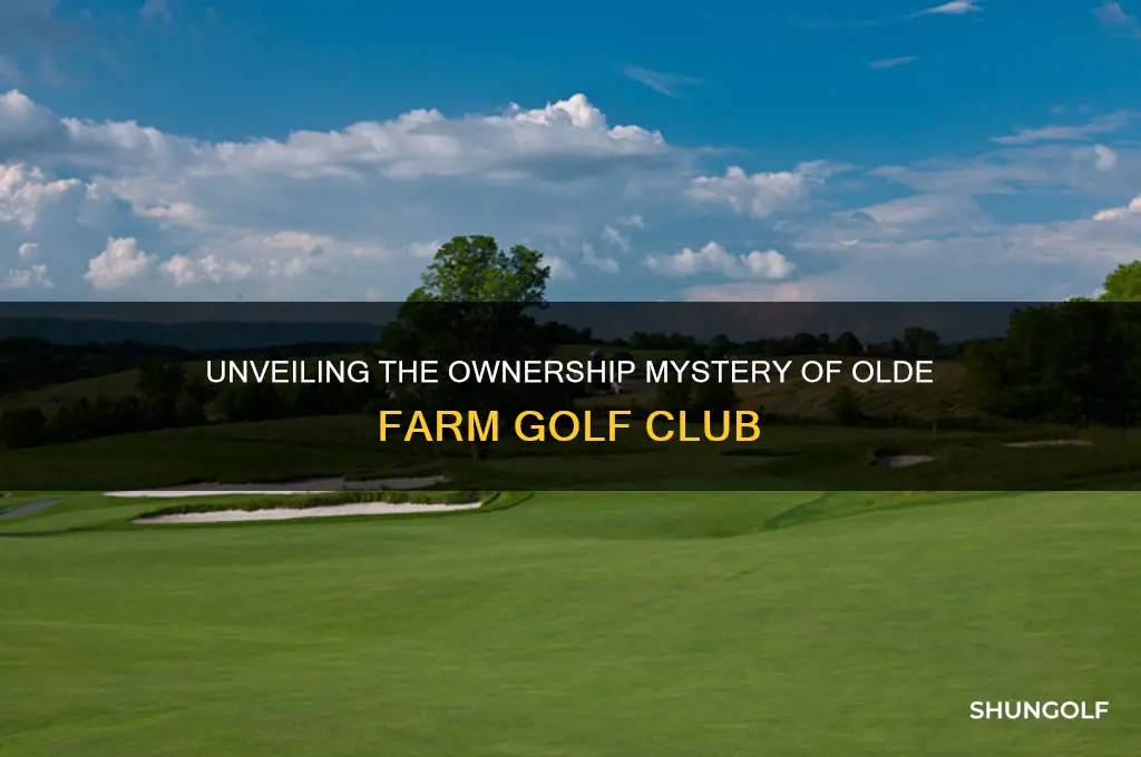 who owns the olde farm golf club